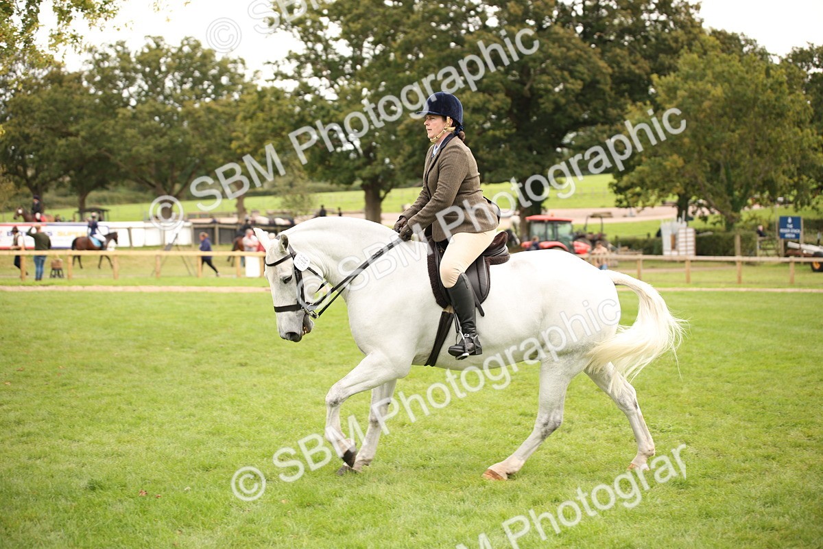 SBM_72387 - S67 - Show Cob Ridden