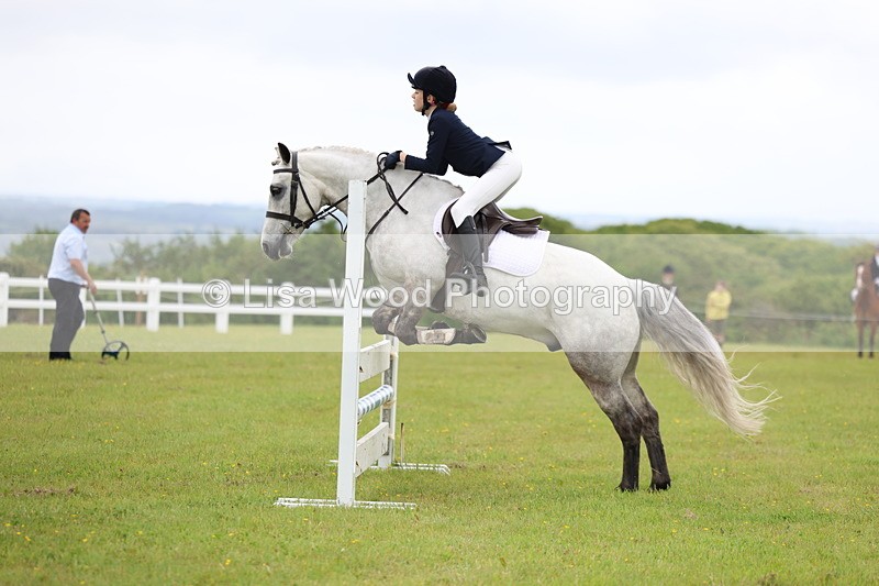 3E7A6613 - Class 9: Pony Discovery/90cm open