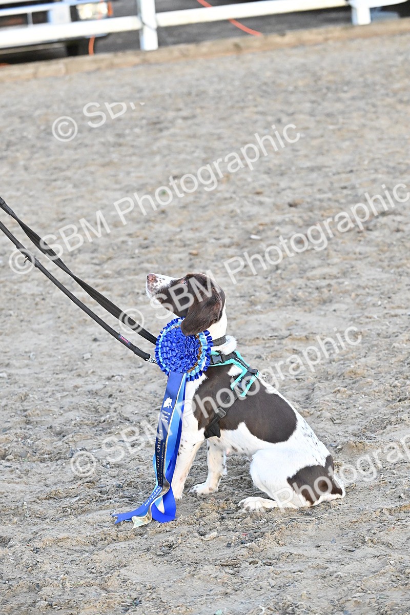 SBM_09726 - Lorry Dogs