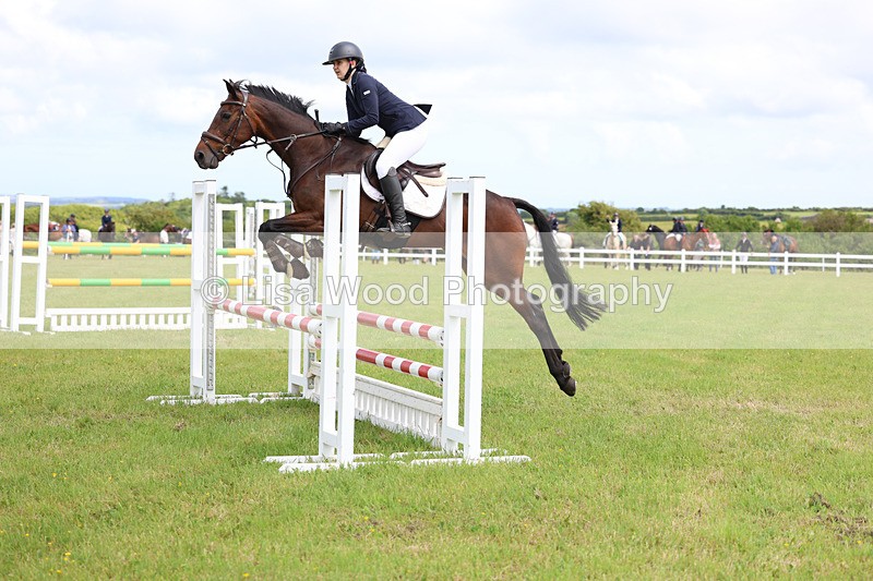 3E7A7575 - Class 13: Senior British Novice/90cm open