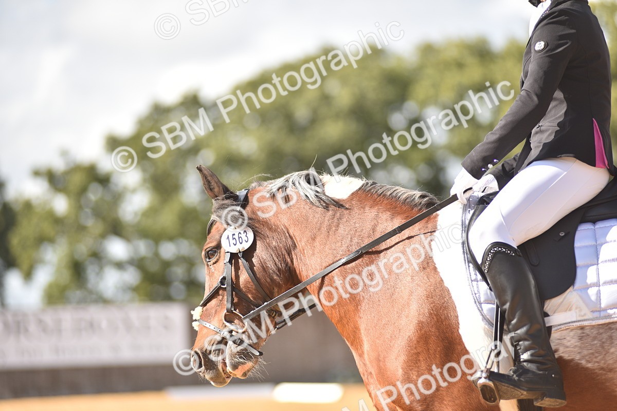SBM_24258 - D4 - Small Tour Championship Intro 4