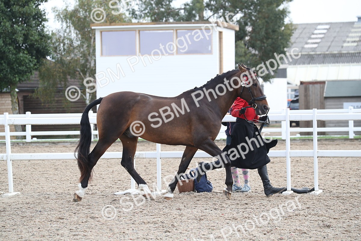 SBM_23065 - Class 605 - 2025 Area - IH Veteran