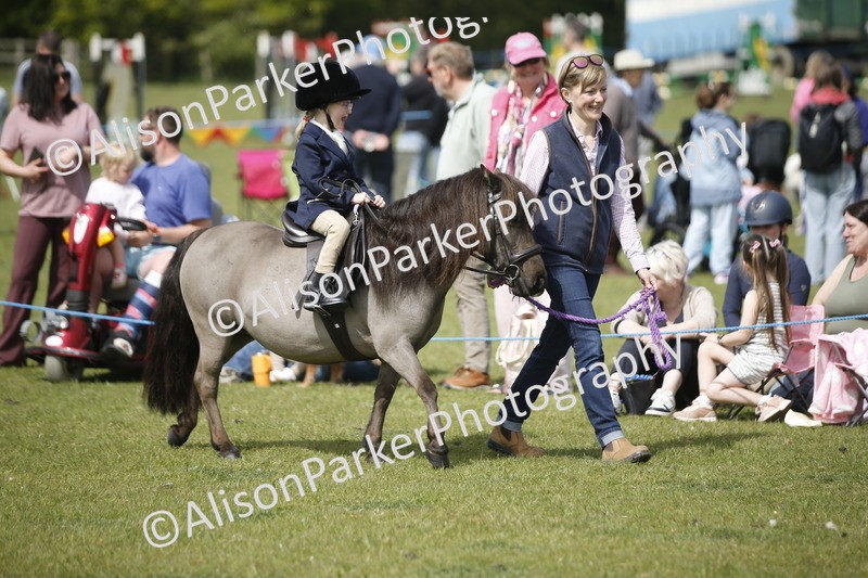 20260426-1820 - Class 7 - Pony Judge Would Most Like To Take Home