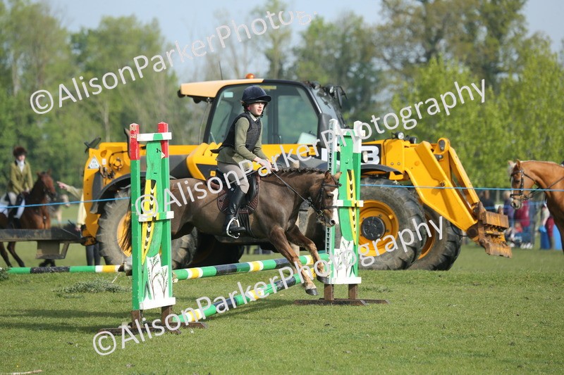 20260426-0040 - Class 13 - Rookie Jumping 50cm