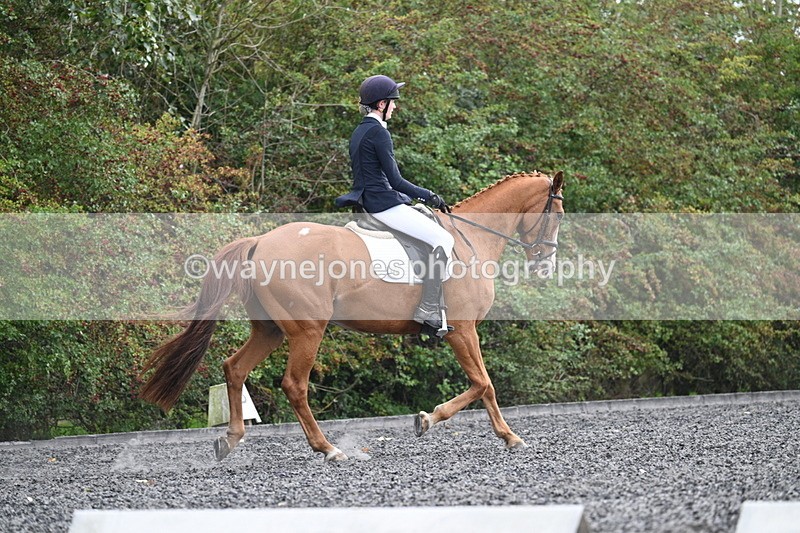 WJ7_6764 - Time 14:49 to 15:14