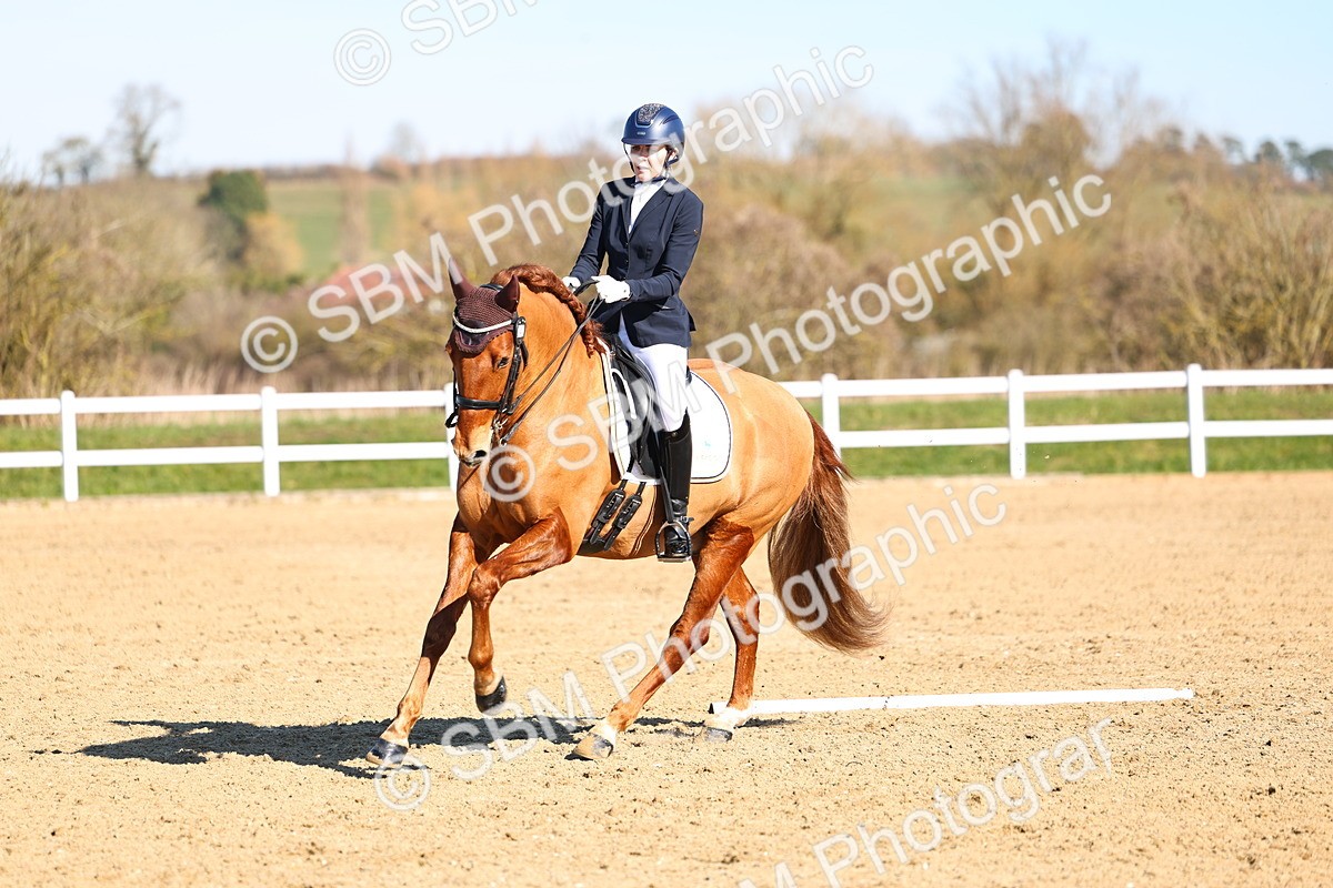 026A8534 - Class 2-6-5-4 - Paso Doble-Sevilla-Golega-Novato