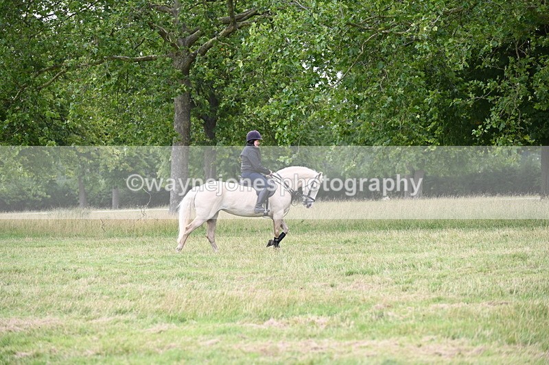 WJ6_4956 - Time at Jump 13:04 to 13:34