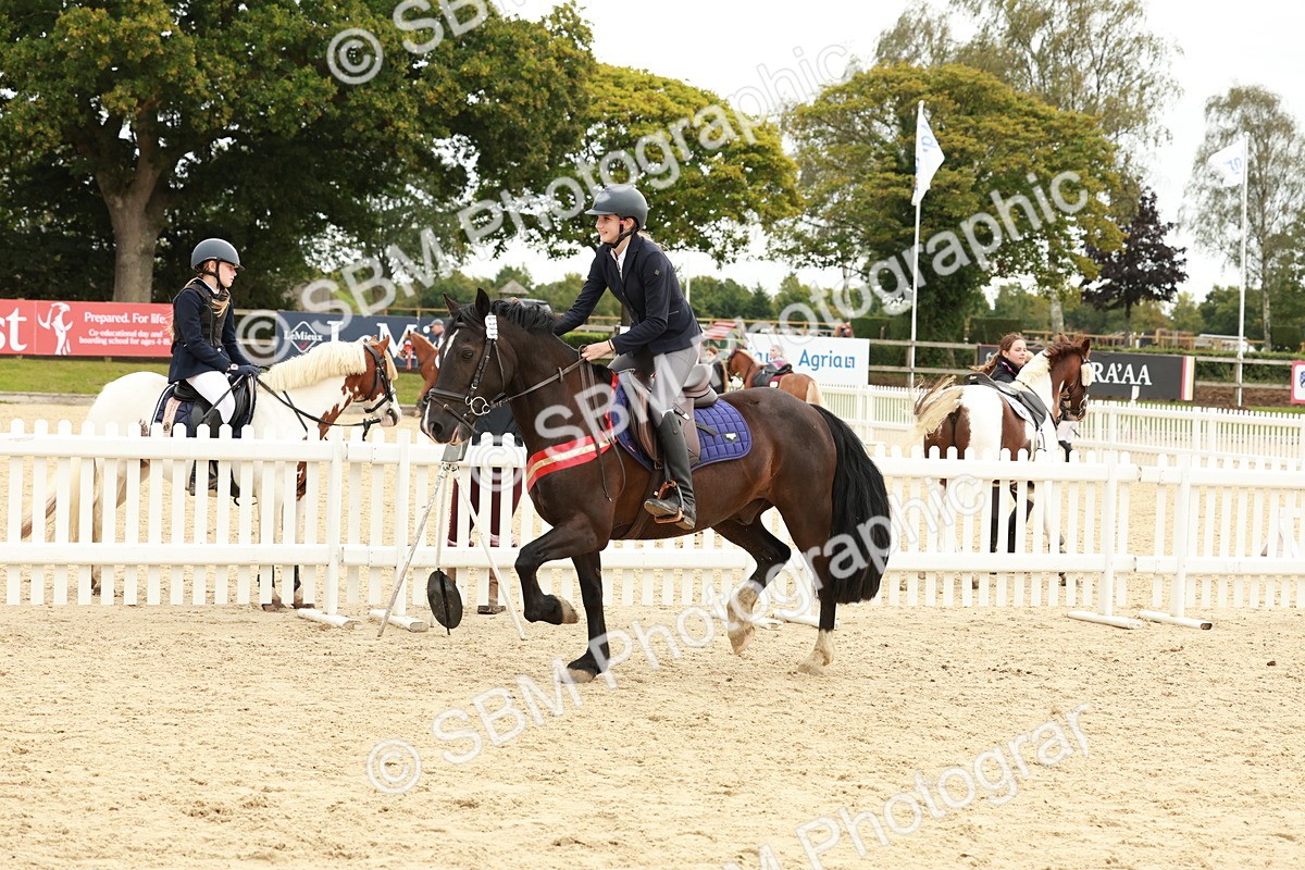 SBM_65380 - Supreme Championship 50cm & 55cm
