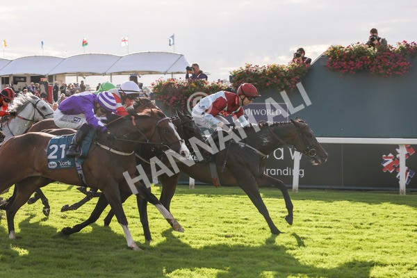 230923-Race 5-Vintage Clarets-5398 - Race 5 4.20pm Vickers.Bet Handicap