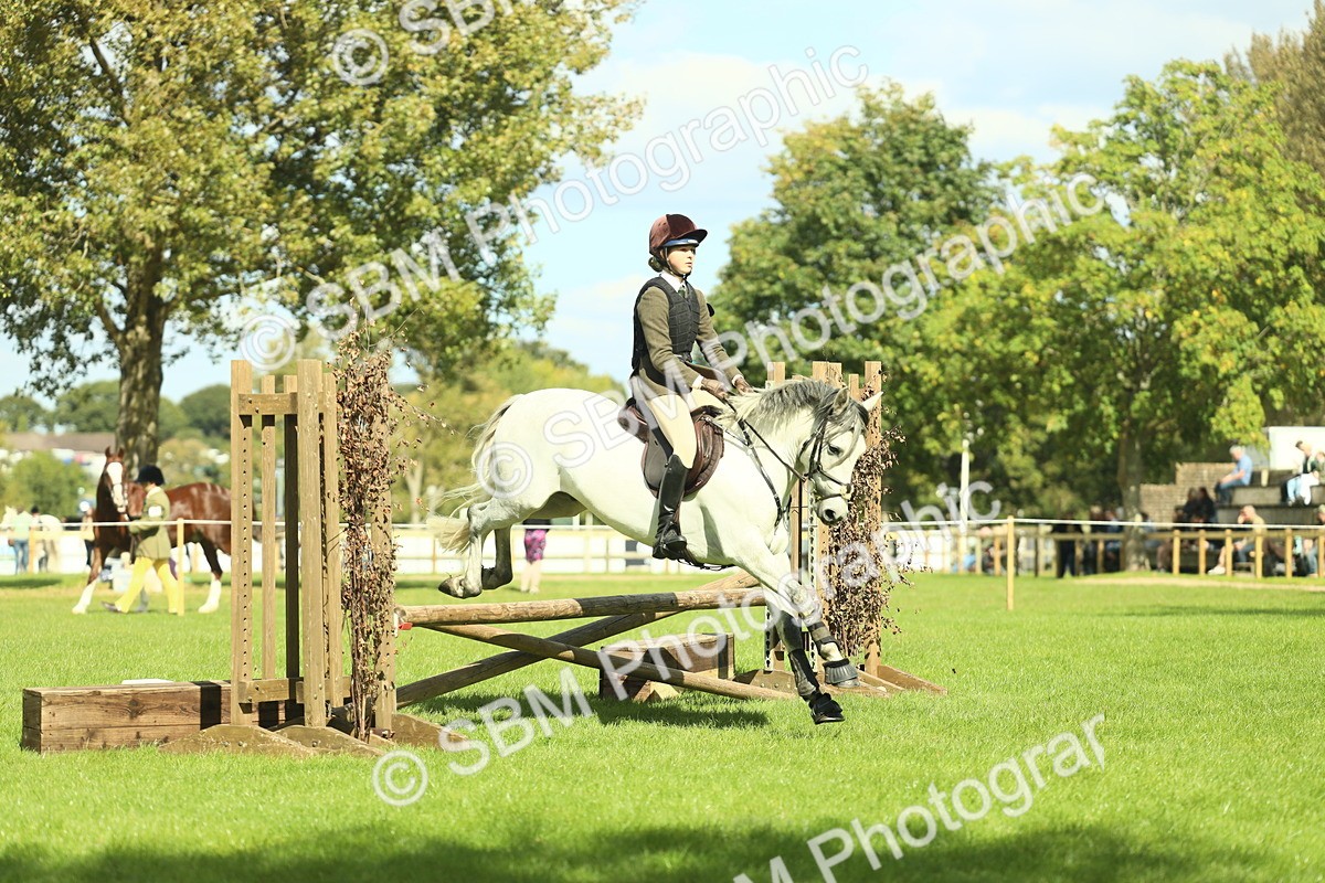 SBM_42942 - S30 - M&M Working hunter Pony