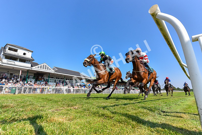 150726-Race 4-The Good Biscuit-3189 - Race 4 15.40pm Le Veinard 2026. Racing And Info Handicap