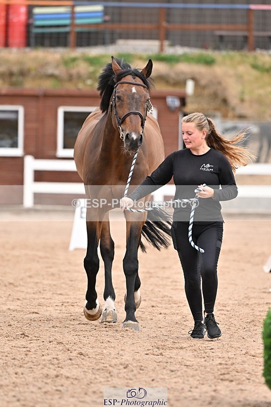 250716-152630-01946 - Trot Up 2.30 to 3.30