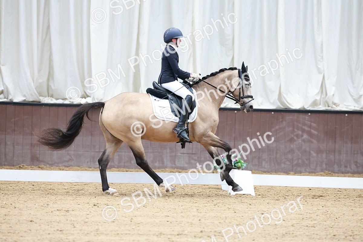 SBM_017229 - Class15 - FEI Pony