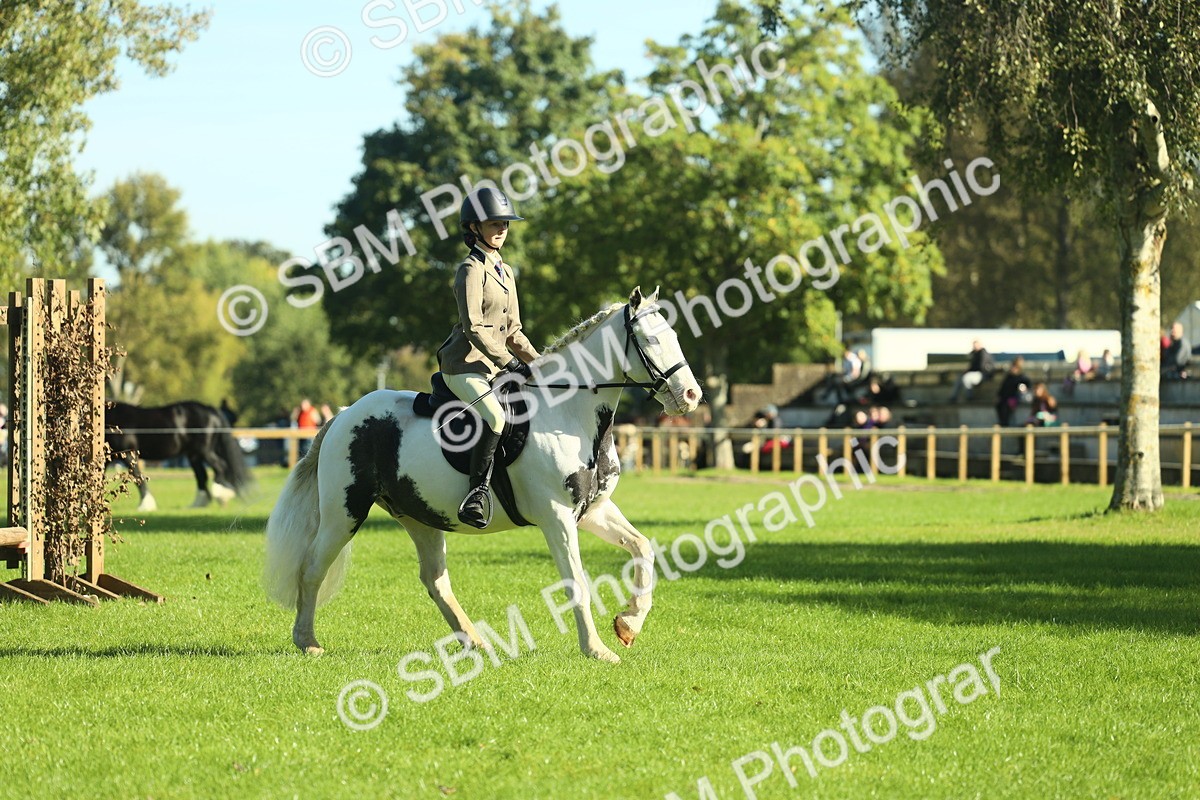 SBM_36432 - S29 - Novice & Newcomers Working Hunter Pony
