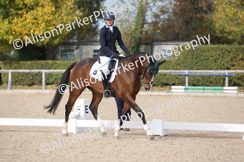20261010-0679 - Class 6 - Novice 2