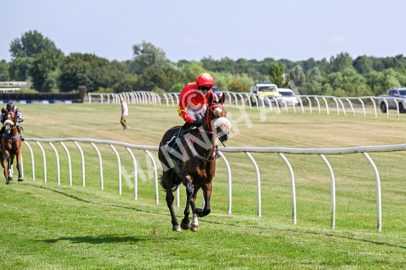 080726-Race 5-Sugarpiehoneybunch-7558 - Race 5 16.00pm Bet At racingtv.com Handicap