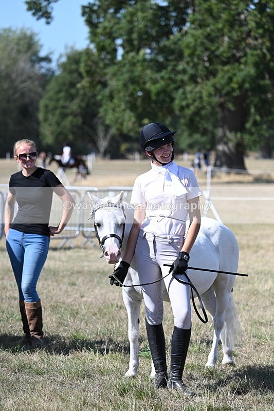 WJ7_1336 - Class 41 Prettiest Mare