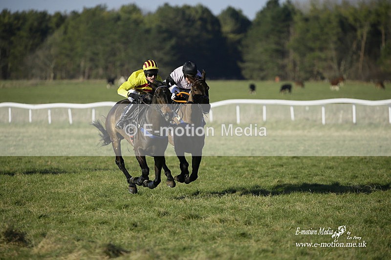 PtP 270222 337 - South & West Wilts Point-to-Point Larkhill 27/02/22