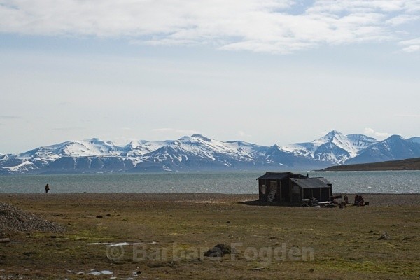 Skansebukta 9792 - Summer time
