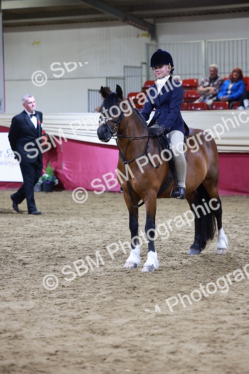 SBM_21286 - Class S - Style & Performance Champ