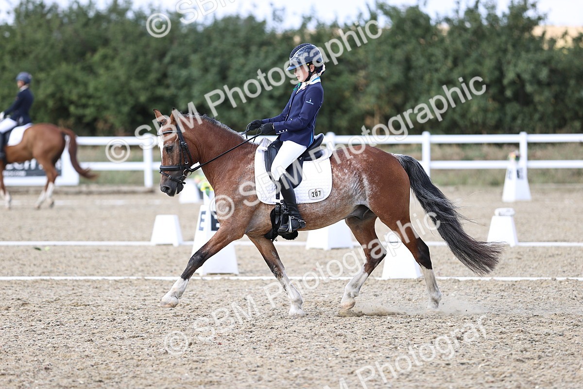 SBM_015973 - Class 5 - E5 Bronze  16.18.17.22