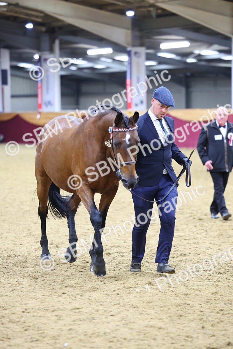 SBM_19693 - Class 901 - Supreme Final - IH Diamond