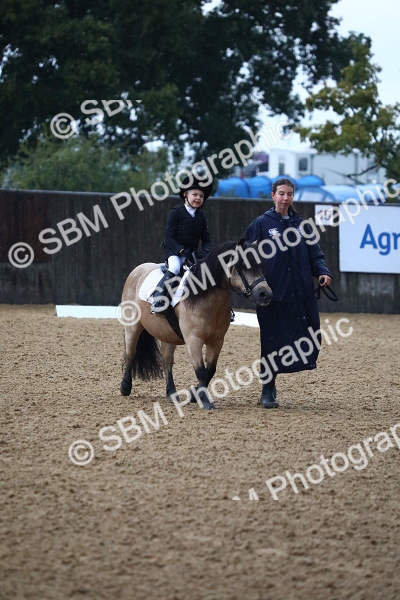 SBM_34598 - D26 - Starters Lead Rein