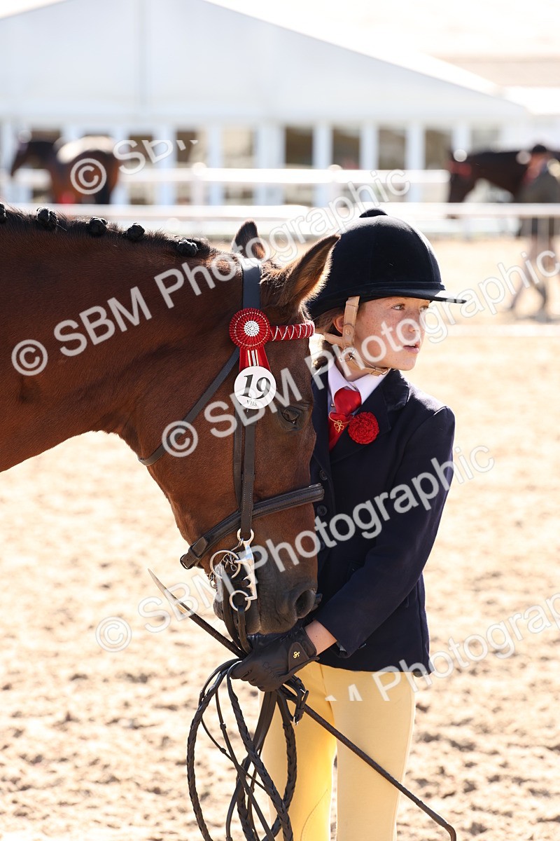 SBM_12828 - Class 205 - IH Show Pony - Show Hunter Pony
