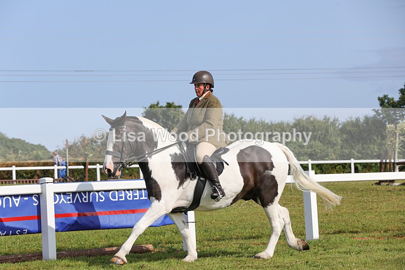 1X9A3301 - Class 28: Ridden Native/Trad Coloured Pony