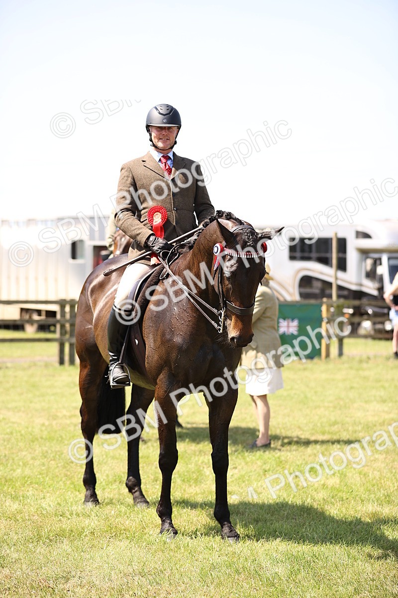 SBM_14981 - Class 78 - LIHS BSHA Open Racehorse & Show Horse