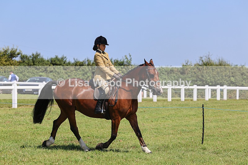 IMG_2310 - Class 38: Veteran Ridden