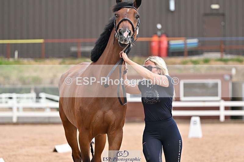 250716-145437-01499 - Trot Up 2.30 to 3.30