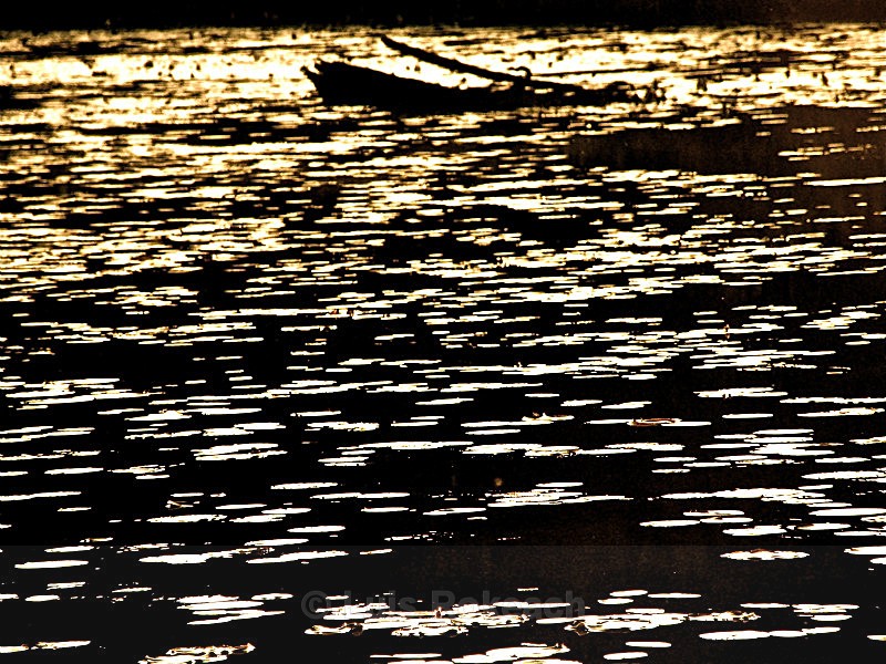  - Water Wood Earth