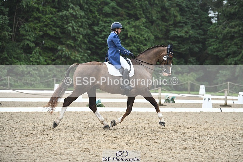 240720-143208-05677 - 142-Amberley_Pugsley-Hero_A