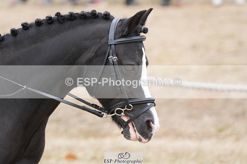 250820A-151111-10629 - Round 2, 14.45 to End