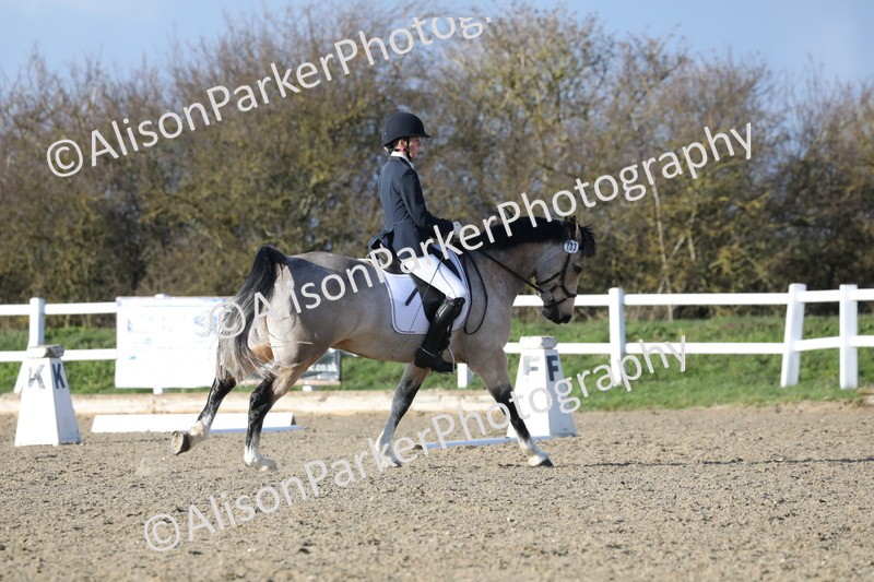 20260314-5843 - DR 7 - Elementary 1