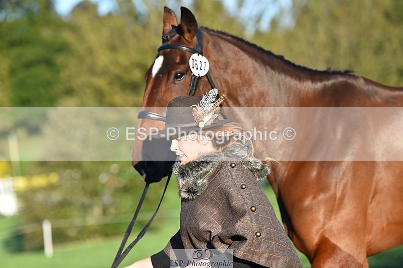 231022-090342-21537 - 627-UNNAMED.(815881)-Pollyanne.Adams-TrotUp+SJ