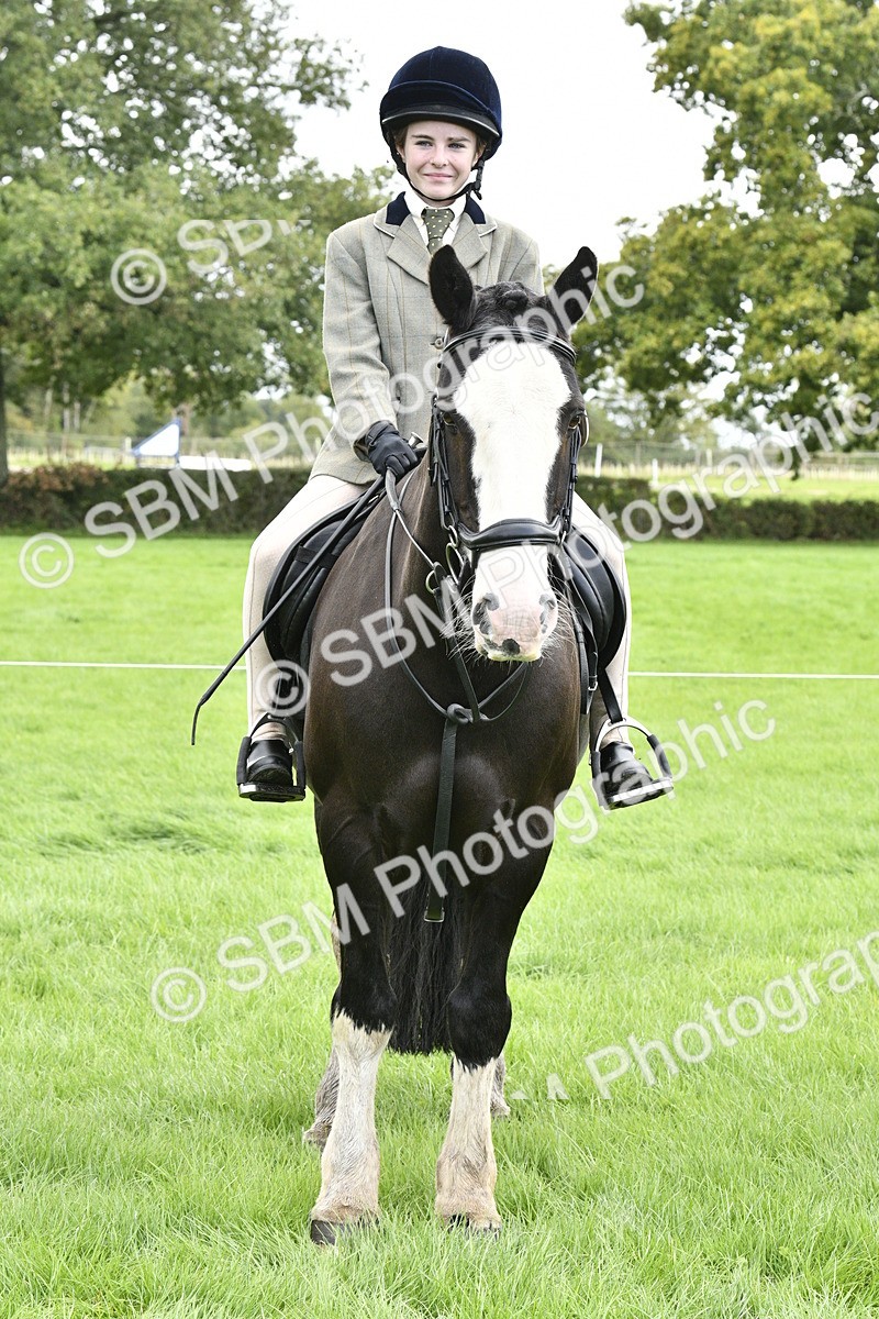 SBM_41617 - S32 - Mountain & Moorland Working Hunter Pony