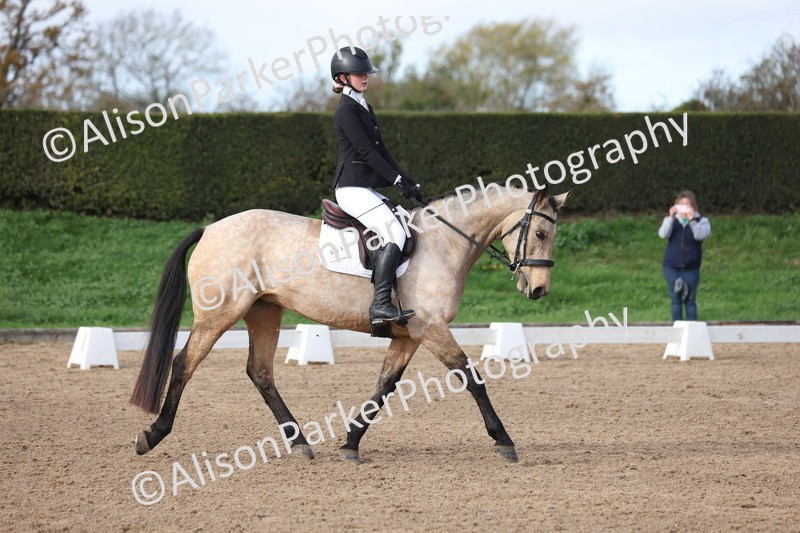 20251101-0296 - Class 2 - Prelim 1