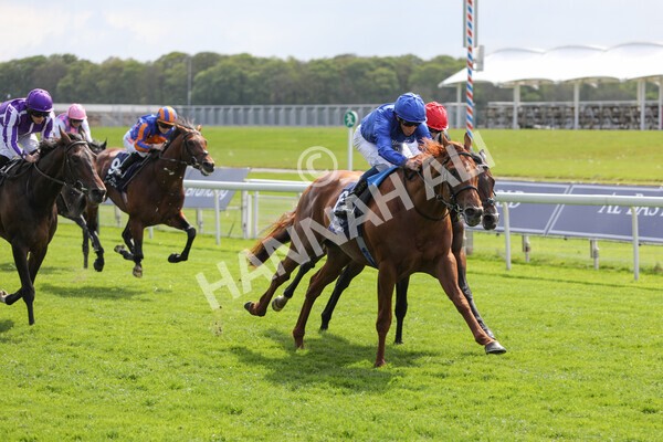 yr13052021r4-45 - Race 4 3.10pm Al Basti Equiworld Dubai Dante Stakes