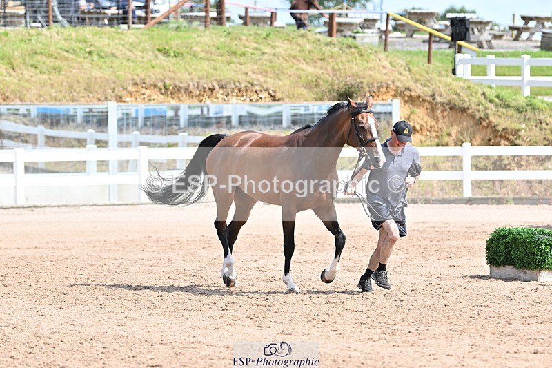 240717A-153426-02889 - Trot Up 3pm to 4pm