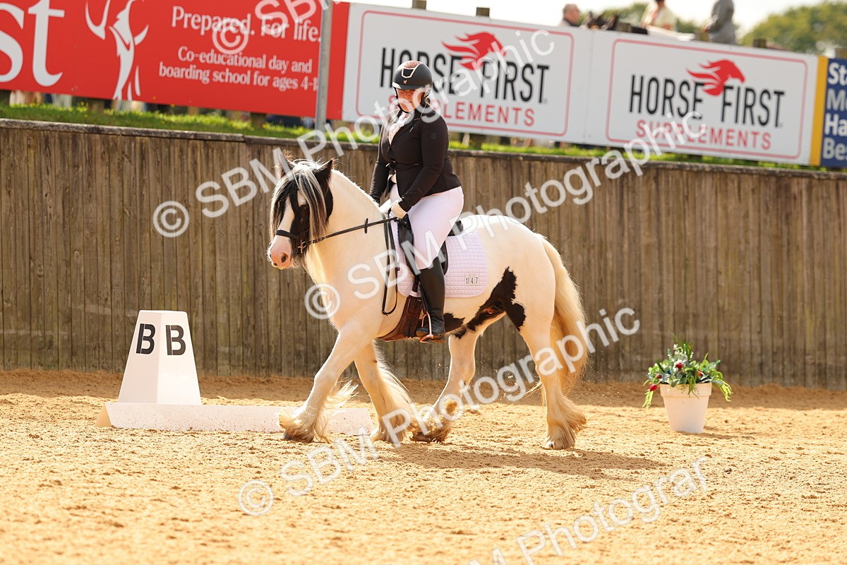 SBM_47444 - D6 - Small Tour Championship - Intro C