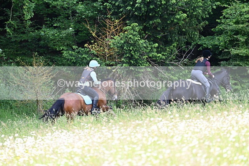 WJ7_8587 - Group 1 10am