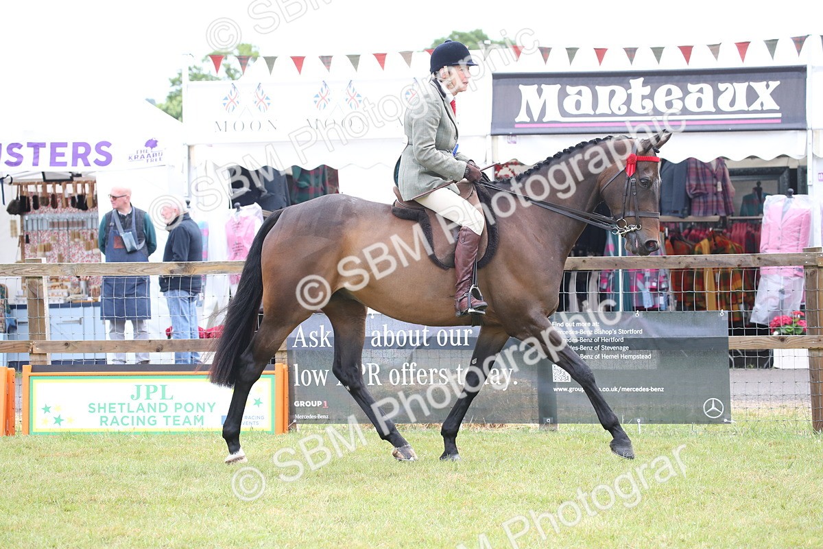 SBM_11482 - Class 94 - LIHS BSHA Racehorse to Showhorse