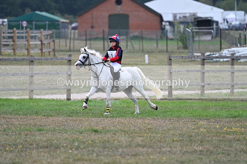WJ7_0778 - XC Time 10:46 to 11:14