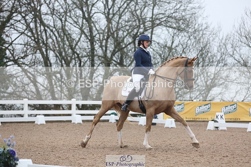 240217A-123453-02912 - 274-Clare.Smith-Dori.Dragon.Fly