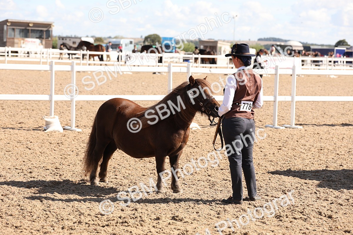 SBM_13940 - Class 205 - IH Show Pony - Show Hunter Pony