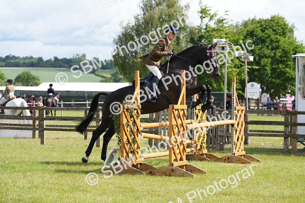 SBM_12892 - Class 99 - RIHS SEIB Working Show Horse