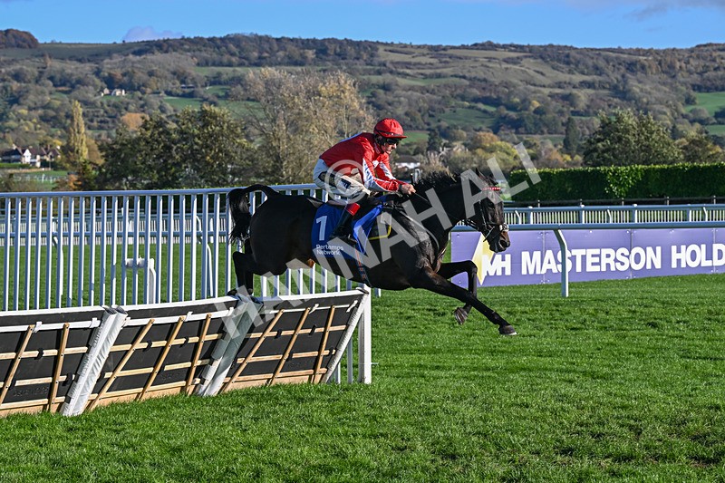 251025-Race 4-Gowel Road-9133 - Race 4