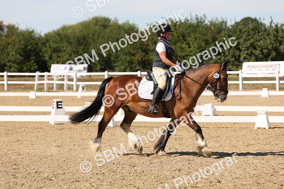 SBM_003783 - Elementary 4